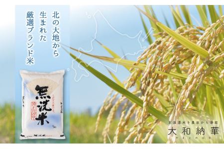  ゆめぴりか 無洗米 5kg×9ヶ月