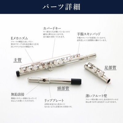 新品 未使用 送料無料 フルート 白銅製 初心者向け 学生 練習用 入門セット 営業日当日発送】 フルート フルートセット 初心者セット 初心者