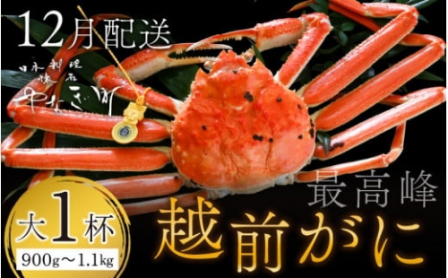 ＜12月発送分＞蟹好きにおすすめ！老舗カニ専門店の「越前ずわいがに」900g～1.1kg×1杯  [L-085021]