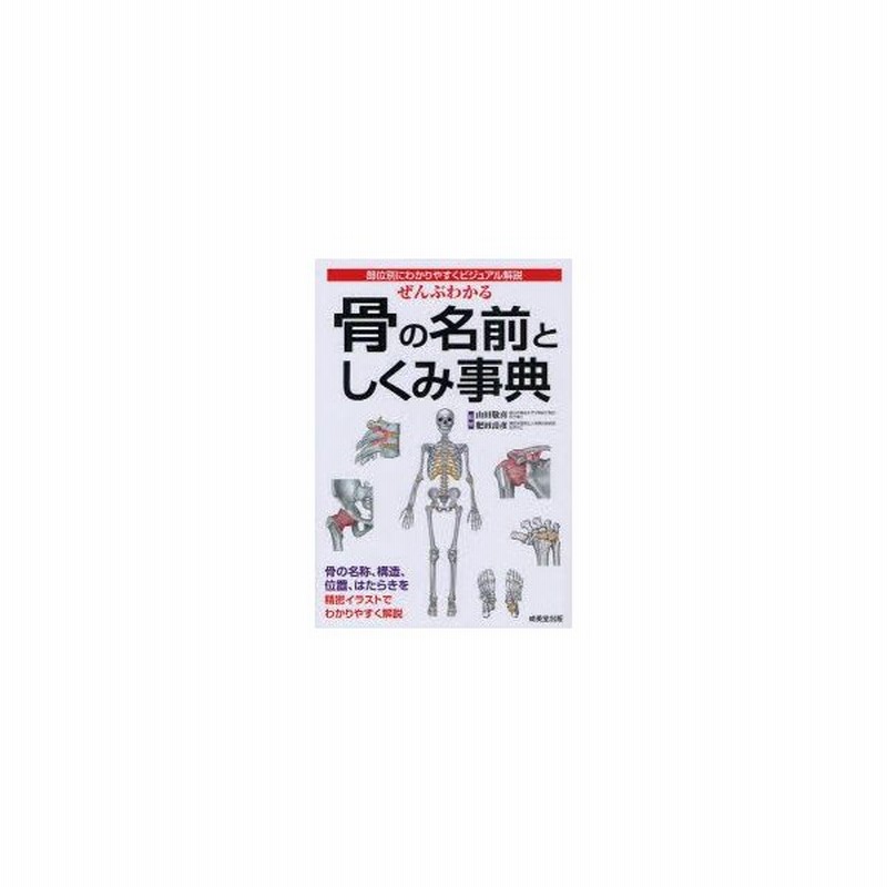 ぜんぶわかる骨の名前としくみ事典 部位別にわかりやすくビジュアル解説 山田敬喜 監修 肥田岳彦 監修 通販 Lineポイント最大0 5 Get Lineショッピング
