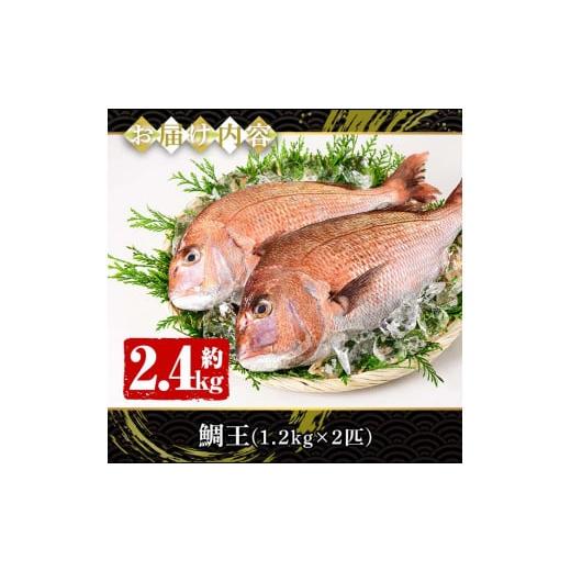 ふるさと納税 鹿児島県 長島町 ＜2023年12月27日発送予定＞長島町特産「鯛王」(2匹セット)jfa-940-1227