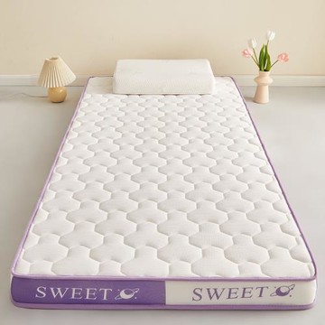 雙拼乳膠記憶棉床墊學生宿舍軟墊家用臥室榻榻米海綿租房專用床褥