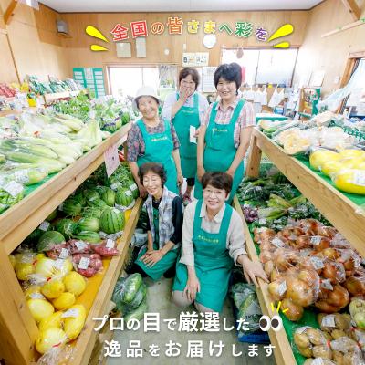 ふるさと納税 松浦市 直売所から直送!季節の野菜詰合せ