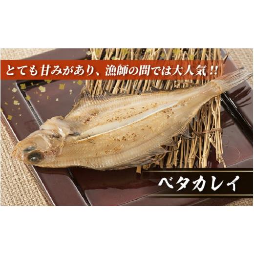 ふるさと納税 福井県 越前町 [e15-a001] 越前産 かれい 「一夜干しカレイ3種セット（合計6〜9尾）」