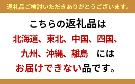 ますの寿司 2段2個 鱒ずし 鱒寿司 ます寿司