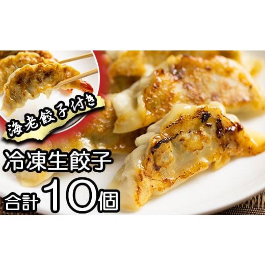 ふるさと納税 岩手県 雫石町 冷凍生餃子  ／ 餃子 ぎょうざ ギョウザ ギョーザ 中華惣菜