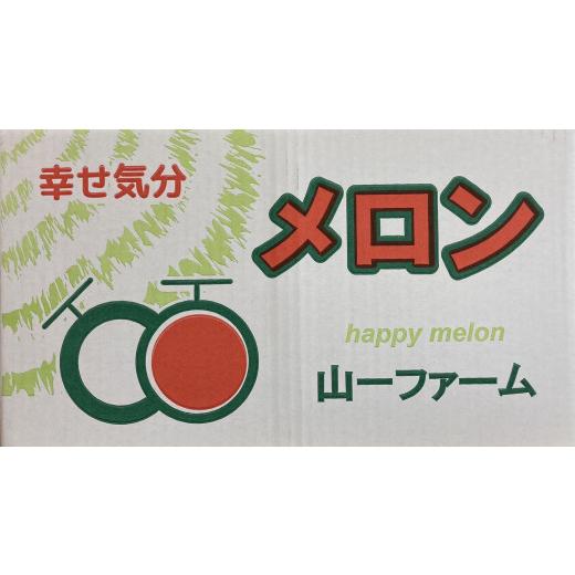 ふるさと納税 茨城県 鉾田市 山一ファームの『イバラキングメロン』２個入り