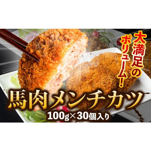 ふるさと納税 熊本県 御船町 馬肉メンチカツ 100g×30個 計3kg 千興ファーム 馬肉 冷凍 《60日以内に順次出荷(土日祝除く)》ジューシー　揚げ物 肉 熊本県御船…