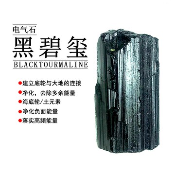 一物一圖天然黑碧璽礦擺件電氣石原石水晶標本能量石頭凈化水寶石