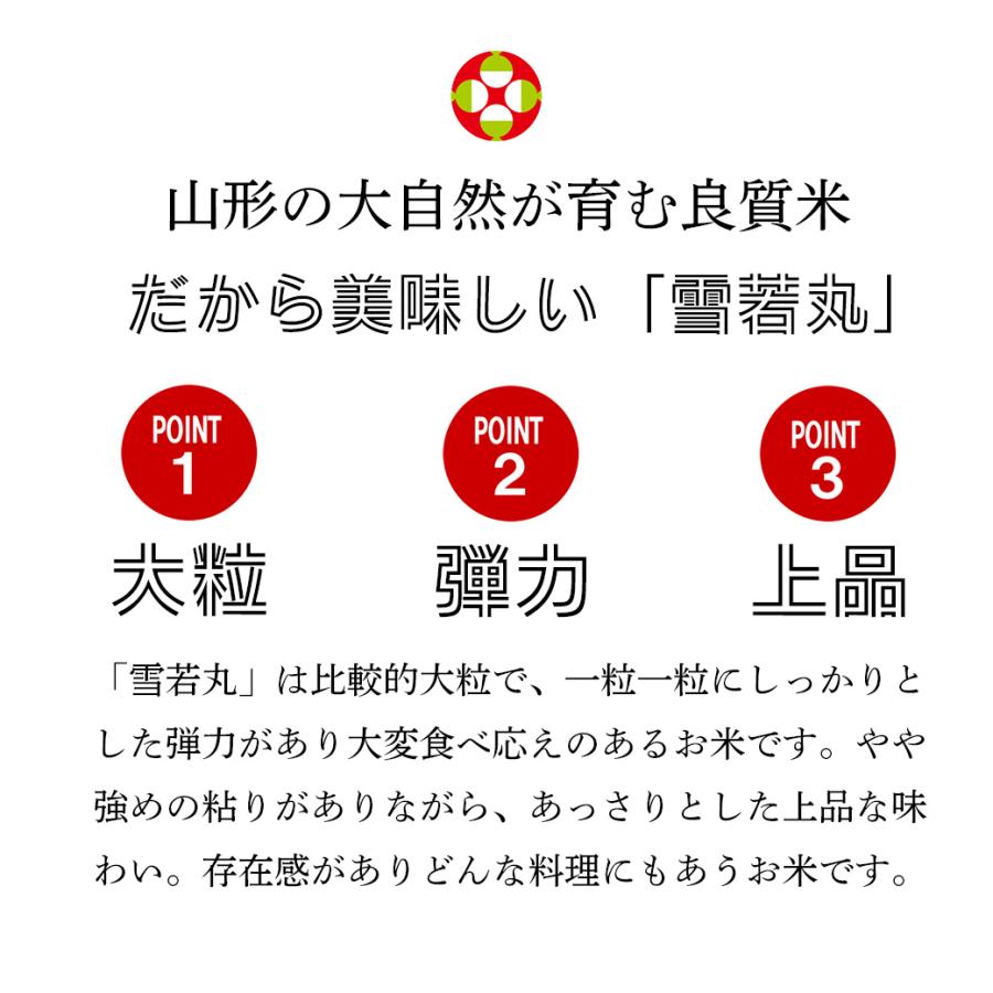 新米 10kg 雪若丸 お米 山形県 庄内 置賜 ゆきわかまる 送料無料 令和5年産 白米 精米 10キロ