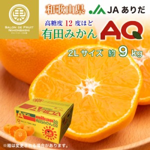 [予約 2023年 11月15日-12月15日の納品] 有田みかん AQみかん 約9kg 2L 和歌山県有田産 JAありだ 高糖度 有田AQ選果場 産地箱 高品位