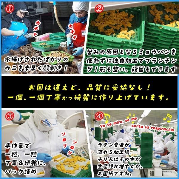 うに ウニ 天然生ウニ 100g×3パック 雲丹 ミョウバン不使用 完全無添加 冷凍食品 寿司 軍艦 ウニ丼