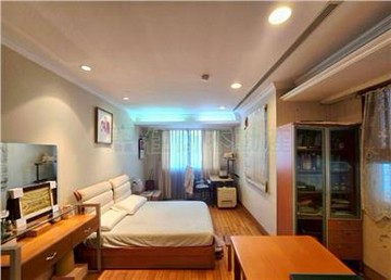 西區科博館賽茵斯/樓中樓豪宅｜台中市西區館前路