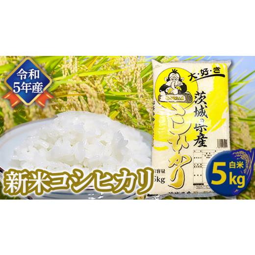 ふるさと納税 茨城県 つくばみらい市 《 12／16入金確認分まで 年内配送 》  コシヒカリ 白米 5kg 米 お米 コメ おいしい 茨城県産 精米 …