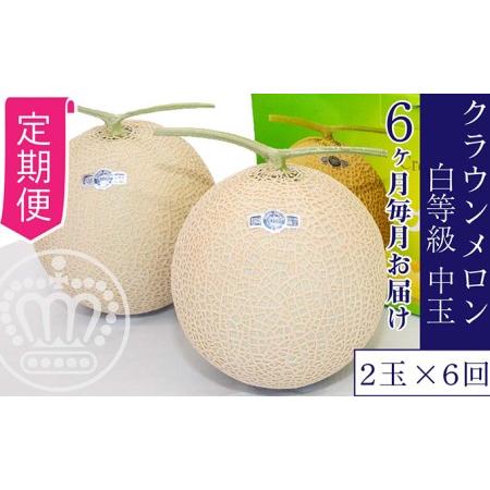 ふるさと納税 クラウンメロン中玉（1.3kg前後）2玉入り 静岡県浜松市