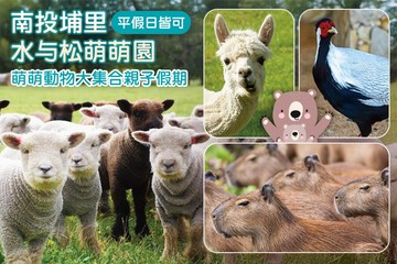 【南投,埔里】南投埔里-水与松萌萌園 #GOMAJI吃喝玩樂券#電子票券#活動/門票