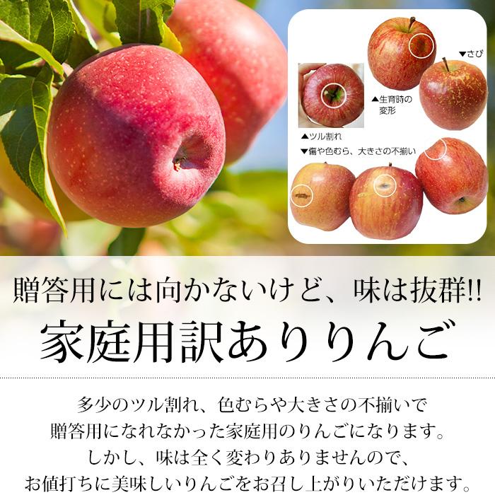 りんご 青森県産 サンふじ 訳あり 約2kg 5〜9玉 ファーム