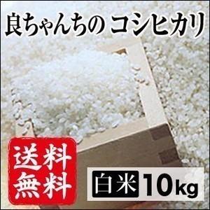 令和5年産生産者特定米　良ちゃんのコシヒカリ（白米）10kg(5kg×2袋)  　送料無料(一部地域を除く)