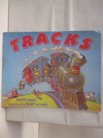 【書寶二手書T6／少年童書_Q1B】TRACKS