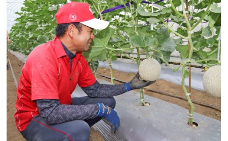 12-11茨城県産アールスメロン約2.5kg（2個）