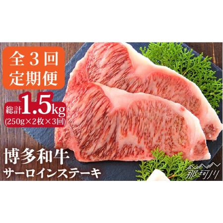 ふるさと納税 博多和牛 牛肉 サーロイン ステーキ 500g（250g×2枚）＜株式会社MEAT PLUS＞那珂川市 定期便 牛肉 肉 黒毛.. 福岡県那珂川市