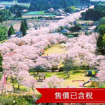 春櫻九州熊本｜第2人折3000｜春櫻名所.南北全覽.五星螃蟹.熊本城.雙鐵道.保住三晚溫泉六日【高雄直飛】-SJP06FUKB7