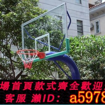 【全網低價 可打統編】戶外標準鋼化玻璃籃球板 室外成人籃球架籃板 鋁合金包邊透明籃板