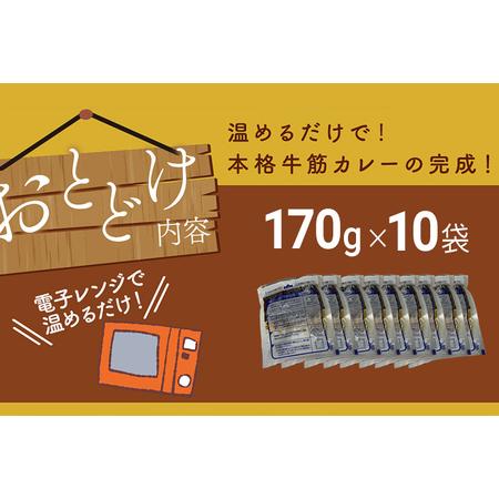 ふるさと納税 博多和牛１００％使用！！あまおうがほのかに香る牛すじゴロっとカレー（１７０ｇ×１０袋） あまおう 博多和牛.. 福岡県田川市