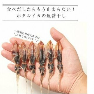 越中氷見屋　ホタルイカ 魚醤干し 18尾入り × 11袋　