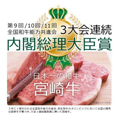 ふるさと納税 日之影町 宮崎牛サーロインステーキ400g(200g×2)(日之影町)