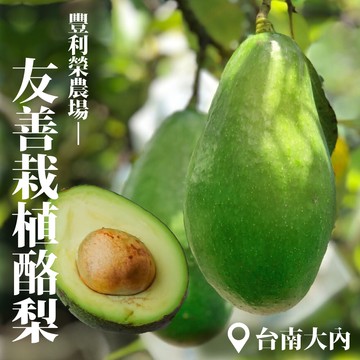 【十翼饌】豐利榮農場 台南大內無毒酪梨5台斤x1箱(友善栽植)(8/29前出貨)