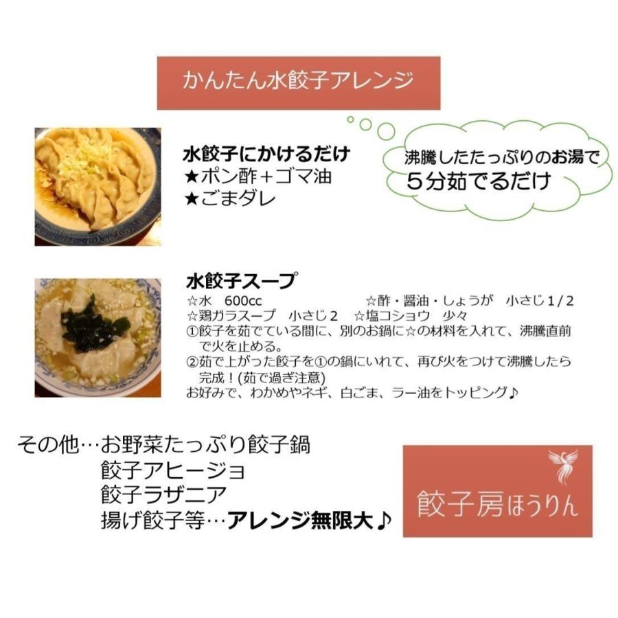 チーズ揚げ餃子　60個　送料無料　選べるおまけ