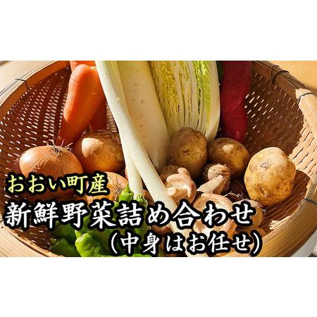 ふるさと納税 おおい町産新鮮野菜詰め合わせ 福井県おおい町