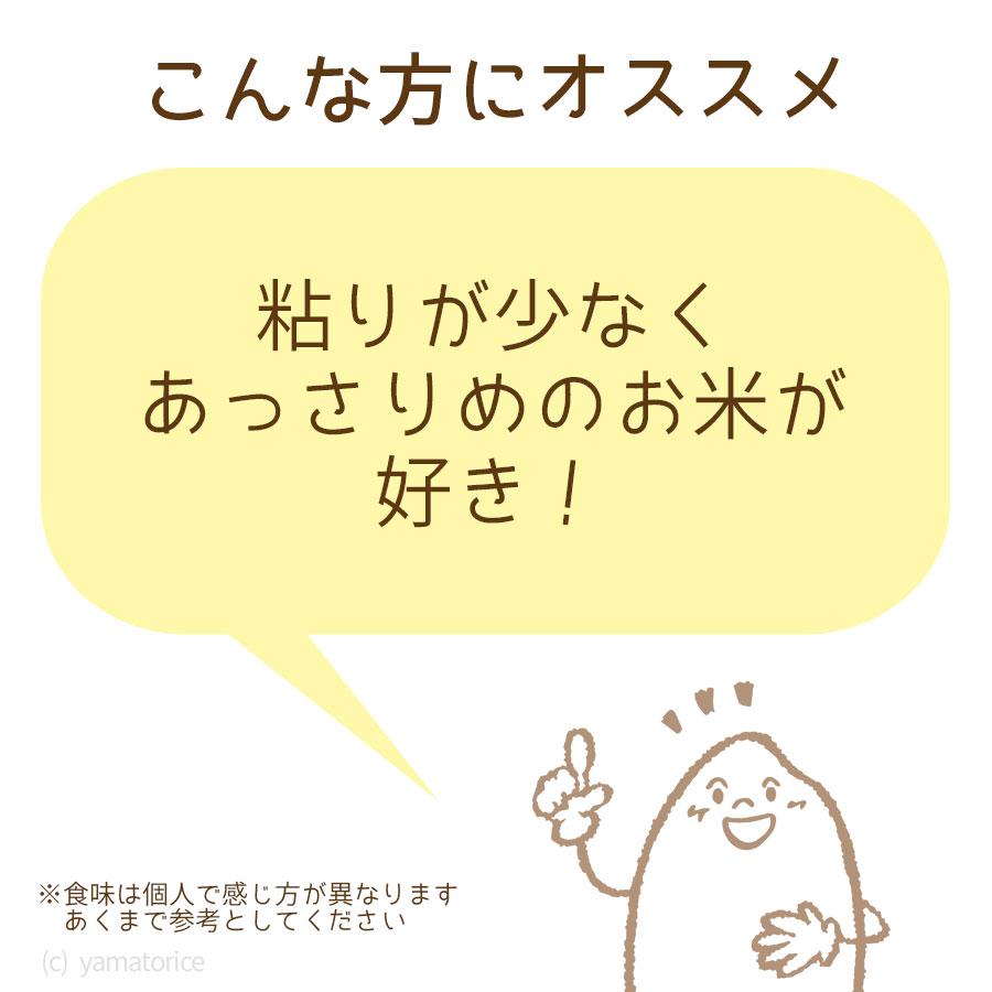 ヤマトライス 無洗米 北海道産 ななつぼし 5kg 令和4年産