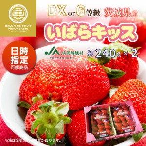 [予約 2024年2月11日-2月14日の納品] バレンタインデー いばらキッス 約240g×2 DX 茨城県産 上級品 いちご