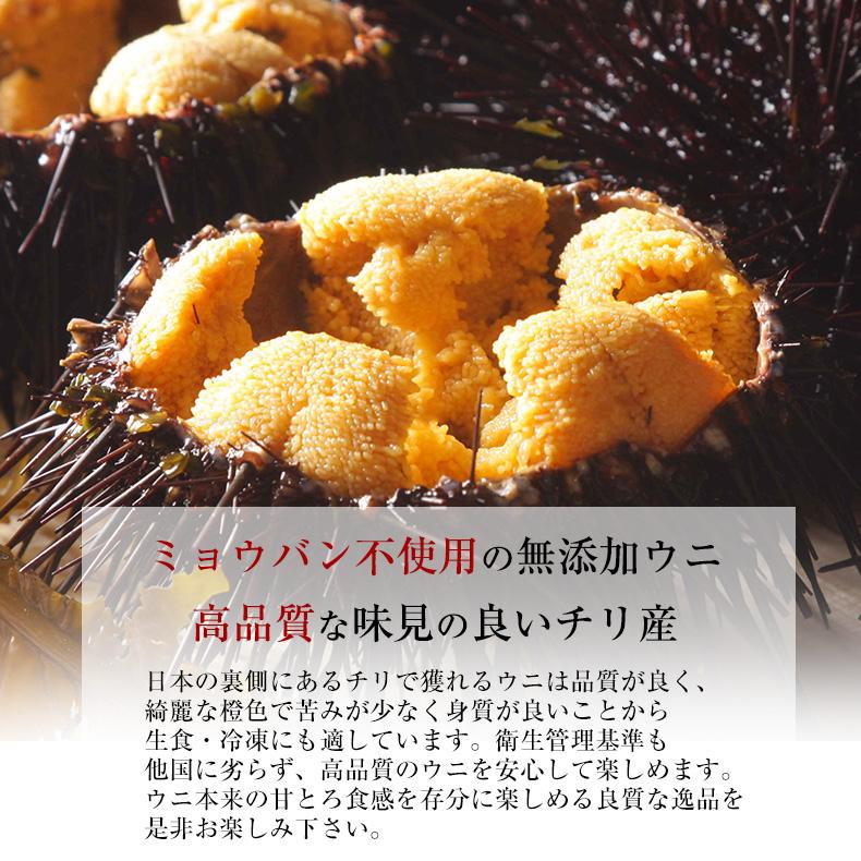 生ウニ チリ産 うに 刺身用 300g ミョウバン不使用 無添加 冷凍 生うに ウニ