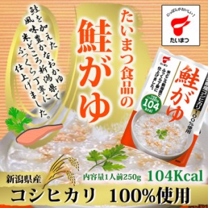 鮭がゆ250ｇ (たいまつ食品) 低カロリー 健康志向のレトルト食品 おかゆ 新潟県産こしひかり