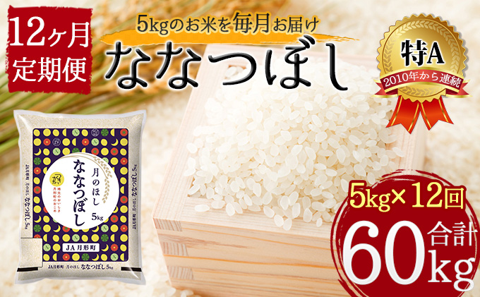 北海道 定期便 12ヵ月連続12回 令和5年産 ななつぼし 5kg×1袋 特A 米 白米 ご飯 お米 ごはん 国産 ブランド米 おにぎり ふっくら 常温 お取り寄せ 産地直送 送料無料