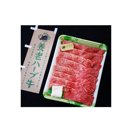 ふるさと納税 養老ハーブ牛　モモまたは肩　すき焼き・しゃぶしゃぶ両用　500g 岐阜県養老町