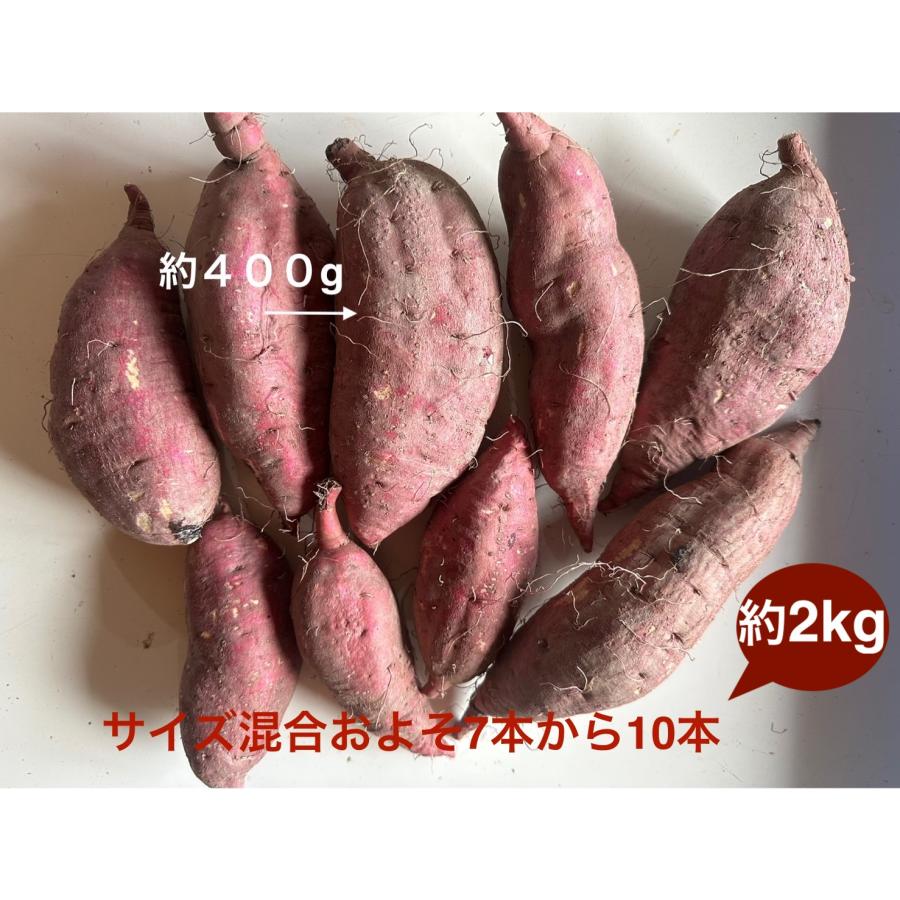 さつまいも約２kg  サイズ混合　無農薬・無化学肥料栽培 　極甘蜜芋 　送料無料