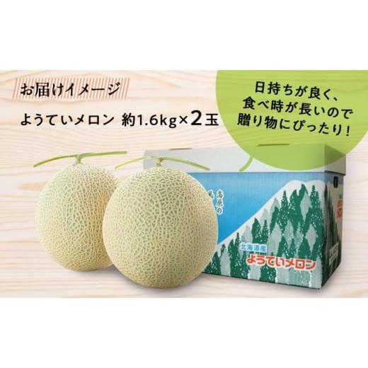 ふるさと納税 北海道 倶知安町 北海道 赤肉メロン 約1.6kg 2玉 メロン 赤肉 果物 フルーツ 甘い 完熟 スイーツ デザート 産直 国産 贈答品 お祝い ギフト羊蹄…