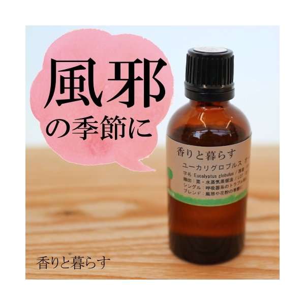 オーストラリア産 ユーカリ グロブルス オーガニック 50ml アロマ アロマオイル エッセンシャルオイル 精油 通販 Lineポイント最大0 5 Get Lineショッピング
