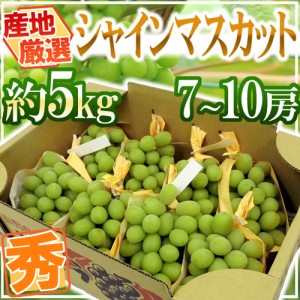 ”シャインマスカット” 秀品 7～10房 約5kg 産地厳選 送料無料