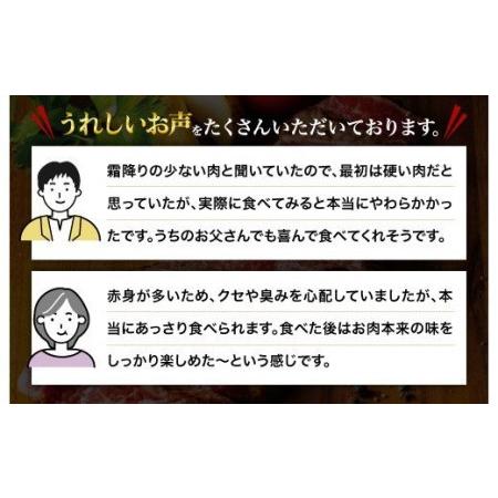 ふるさと納税 熊本県産 あか牛 モモステーキ 合計500g(250g×2パック) 和牛 牛肉 熊本県人吉市