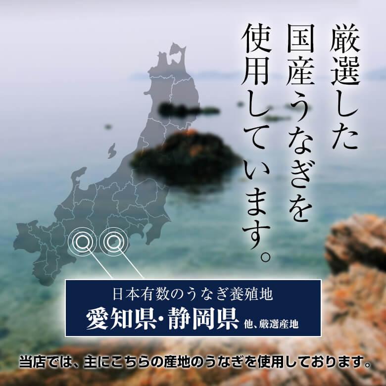 国産 うなぎ 特大蒲焼き 約400g 2〜4人前 セット  静岡県・愛知県 他、厳選産地 丑の日 土用 鰻 タレ付き 山椒付き