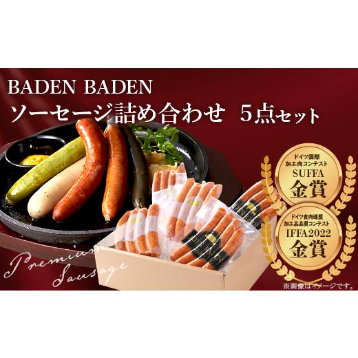 ふるさと納税 新潟県 長岡市 37-11BADEN　BADEN　ソーセージ5点セット