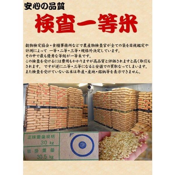 新米 お米 5kg 千葉県産 ミルキークイーン 米 令和5年産 白米 内のし対応 贈り物