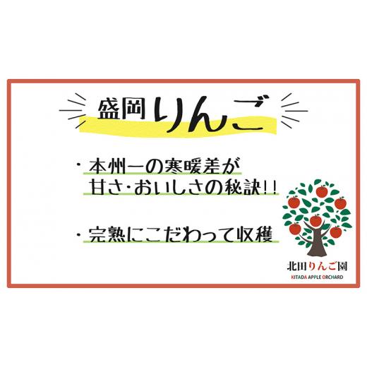 ふるさと納税 岩手県 盛岡市 盛岡北田りんご園 完熟サンふじ＆シナノゴールド詰め合わせ 約5kg（14〜20玉）