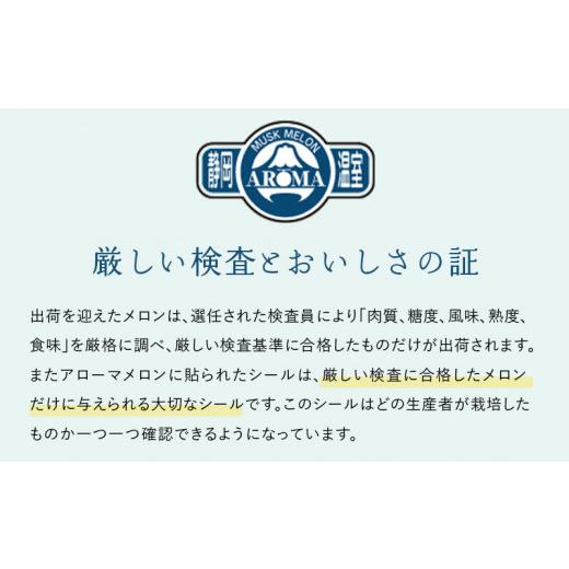 ふるさと納税 静岡県 掛川市 ５４６３　マスクメロン の 最高峰 高級 アローマメロン 富士級 GABA  イトウシャディ大東店（ ギフト箱入 GABA ギフト 箱 アロー…