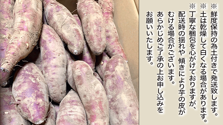 訳あり 茨城 八千代町産 さつまいも 紅はるか 土付き 無選別 生芋 約 10kg 農家直送 熟成 べにはるか イモ 芋 いも おやつ [AX034ya]